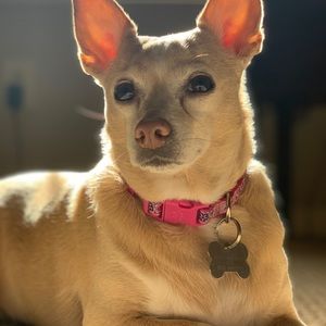 Meet your Posher, Mike